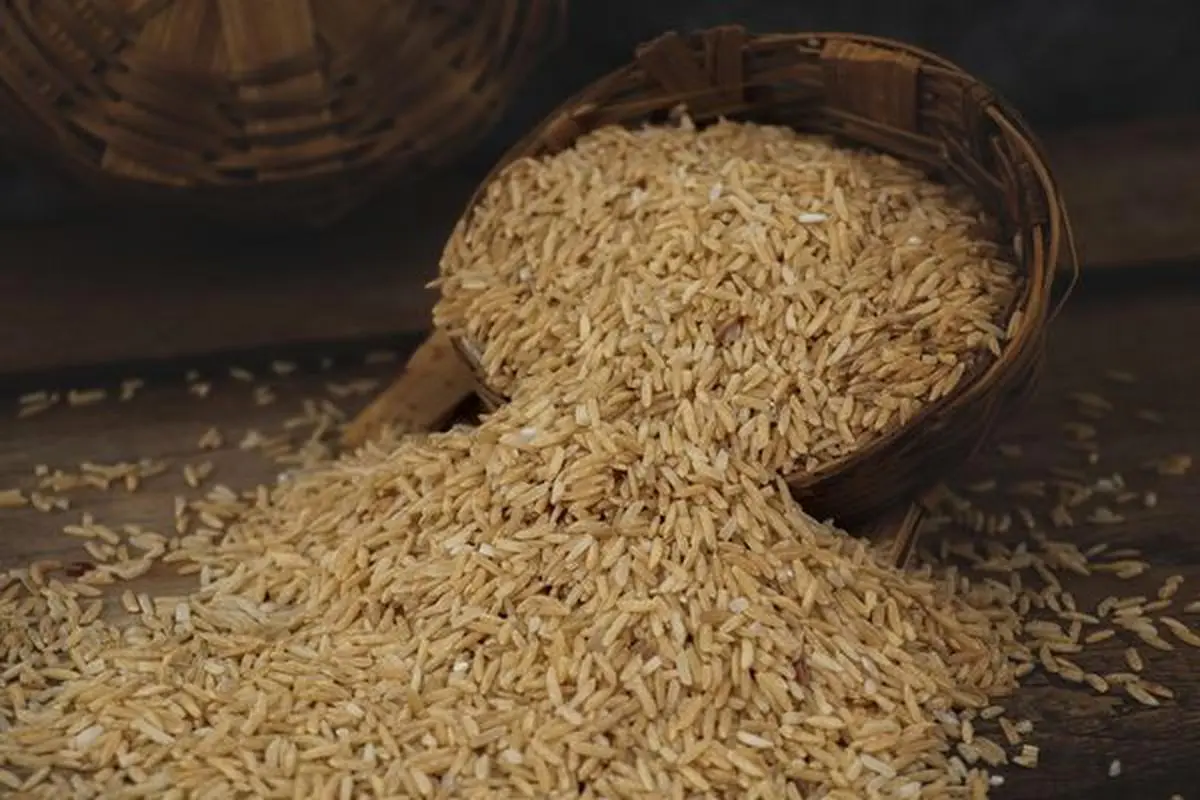 Africa Rice initiative aims to give farmers more control over their land in order to reduce flooding and increase yields
