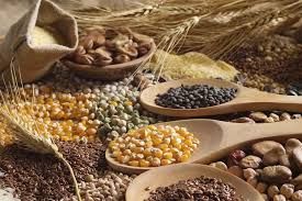 South Africa forecasts record grain and oilseed output