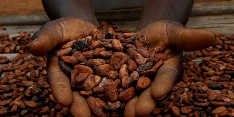 Harsh weather in West Africa pushes Cocoa prices higher amid supply concerns