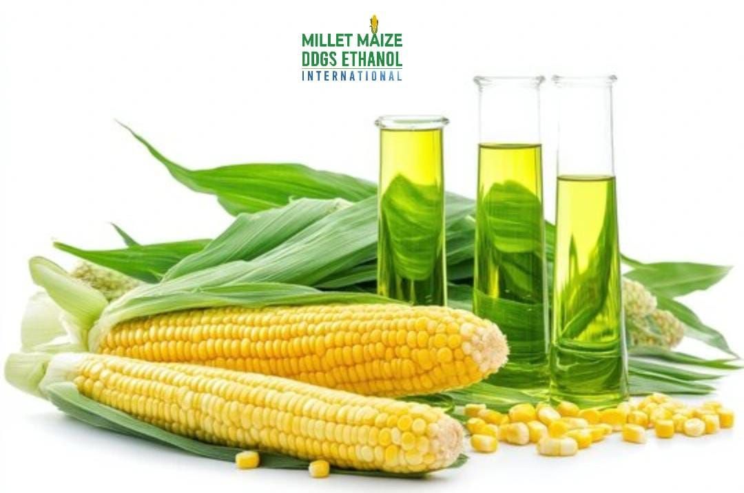 mmdeinternational.com - Ohio Farmer Eyes Philippine Partnership in Corn & Ethanol Trade 🌽🤝💧