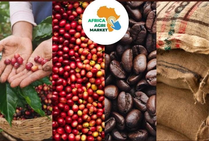 https://www.africa-agri-market.com/ โ๐ Africa Coffee Substitutes with Coffee: Market Analysis, Size, Trends & Forecast Insights