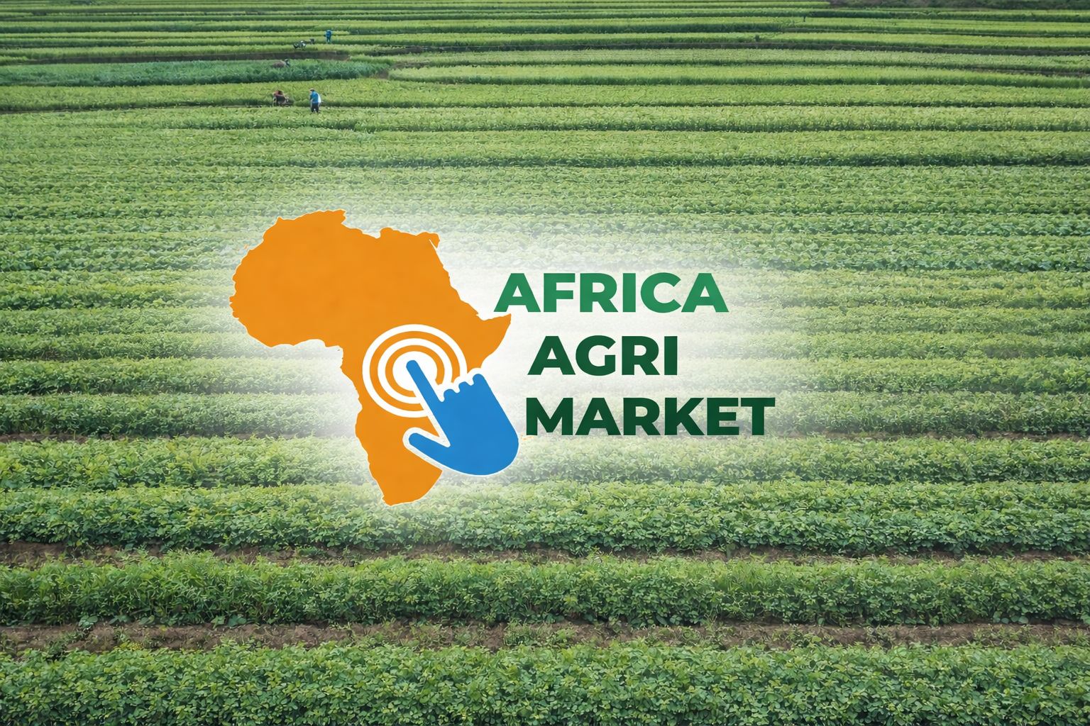 https://www.agri-food-update.com/https://www.africa-agri-market.com/Prof. Banji Oyelaran-Oyeyinka on industrialising Nigeria’sagricultural sector