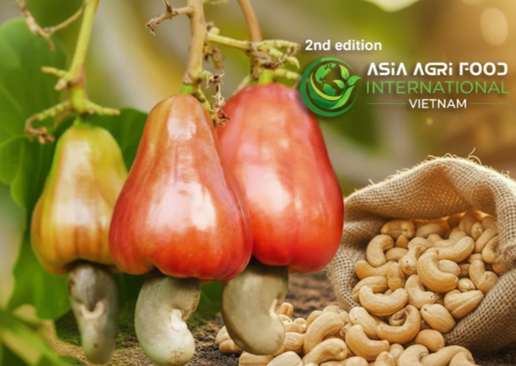 🌰 NCAN Promises to Resist Cashew Roadmap Tampering 📈 - www.asiaagrifood.com