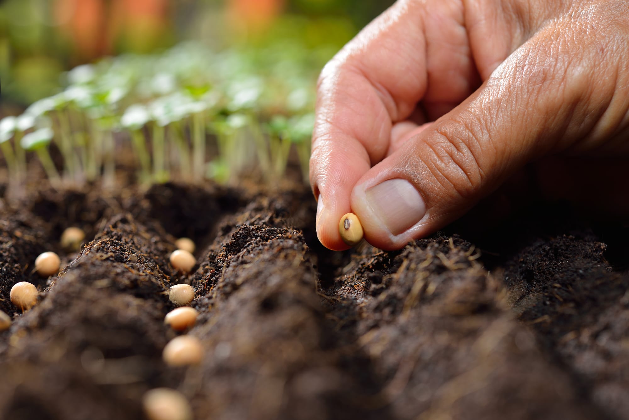 Scientists detect deep Earth pulses beneath Africa