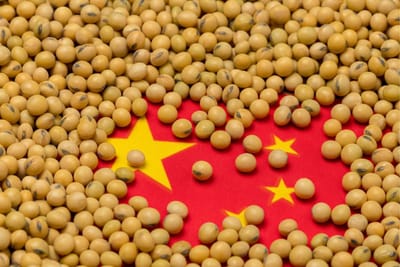 Prices for soybeans and soybean meal in China rose after the introduction of mirror 10-15% tariffs on agricultural products from the US