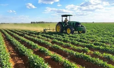 South Africa’s Agriculture Sector Adapts to Global Trade Risks and Grows Exports Despite Challenges