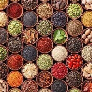 South African Agricultural Exports Surge 10% in Q1, Buoyed by U.S. Trade and Port Improvements