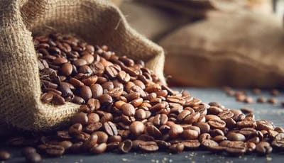 ☕ Uganda Surpasses Ethiopia to Become Africa’s Top Coffee Exporter