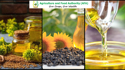 Kenya accelerates edible oil crops farming to cut imports, led by AFA
