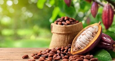Cocoa Prices Fall Back After Recent Rally on Dry West African Weather