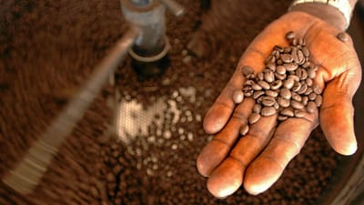 South Africa could see short-term benefits from US tariffs, such as lower coffee prices