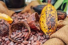 MENA - Chocolate And Other Food Preparations Containing Cocoa - Market Analysis, Forecast, Size, Trends And Insights