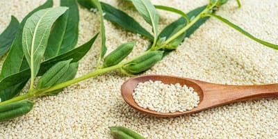 Africa's sesame seed market to grow at 1.8% CAGR, reaching $4.6B by 2035, driven by rising regional demand.
