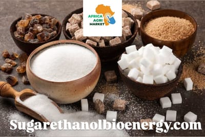 Sugarethanolbioenergy.com -Kyrgyzstan’s sugar production sees sharp growth in 2025