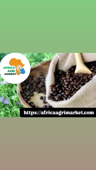 "Africa’s Coffee Industry ☕🌍 Sets Sights on China 🇨🇳 as New Trade Policies Open Doors 🚪📈