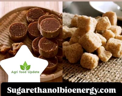 🌴 Palm Sugar Market Expected to Reach US$ 2,776.9 Mn by 2032, 📈 Potentially Growing at 3.4% CAGR, Boosted by Health & Wellness Trends 🥗