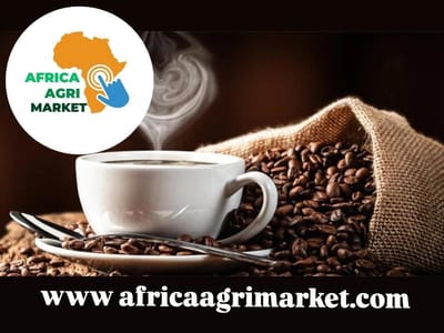 Africa - Coffee Substitutes Containing Coffee - Market Analysis, Forecast, Size, Trends