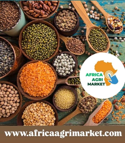 Global Pulse Prices Plummet to Record Lows as Canada, Australia, Russia & Africa Battle for Market Share