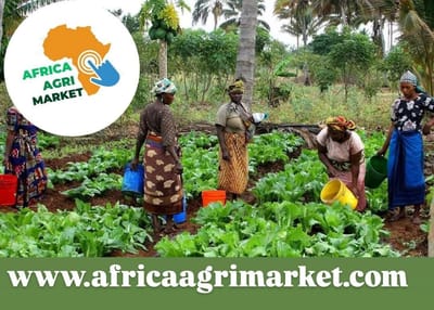 🌍 Unlocking a Sustainable Future Through African Agriculture 🌾