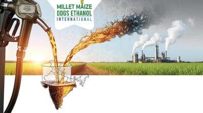 mmdeinternational.com - EIA weekly data: Ethanol production up 8%, stocks down slightly, exports up 57%