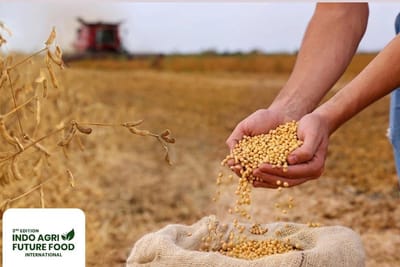 Indoagrifuturefood.com- 📘 "Soybean Market Review: U.S. Soybeans Without China"