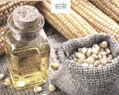 mmdeinternational.com - 🌽 Middle East's Maize Oil Market Poised for Steady Growth 📈 with 6% CAGR in Value Through 2035 🌍