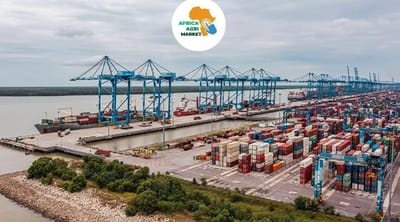 https://www.africa-agri-market.com/ - Djibouti and Italy explore renewed cooperation in industry, agriculture and port development 🤝⚓🌾