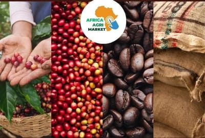 https://www.africa-agri-market.com/ ☕🌍 Africa Coffee Substitutes with Coffee: Market Analysis, Size, Trends & Forecast Insights