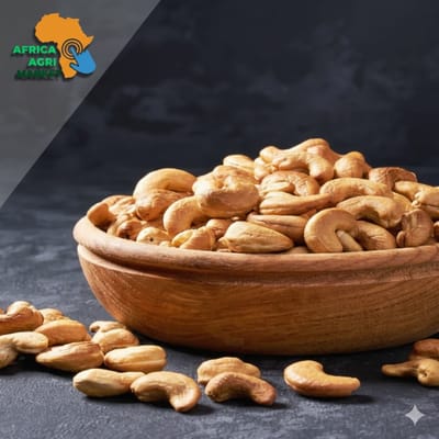 www.africa-agri-market.com - 🌰💰 Nigeria Could Earn $10B Annually from Cashew with Proper Policies & Investment — NCAN