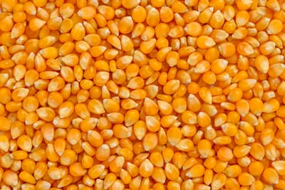 Malawi’s NFRA raises maize buying prices to boost deliveries, curb market shortages
