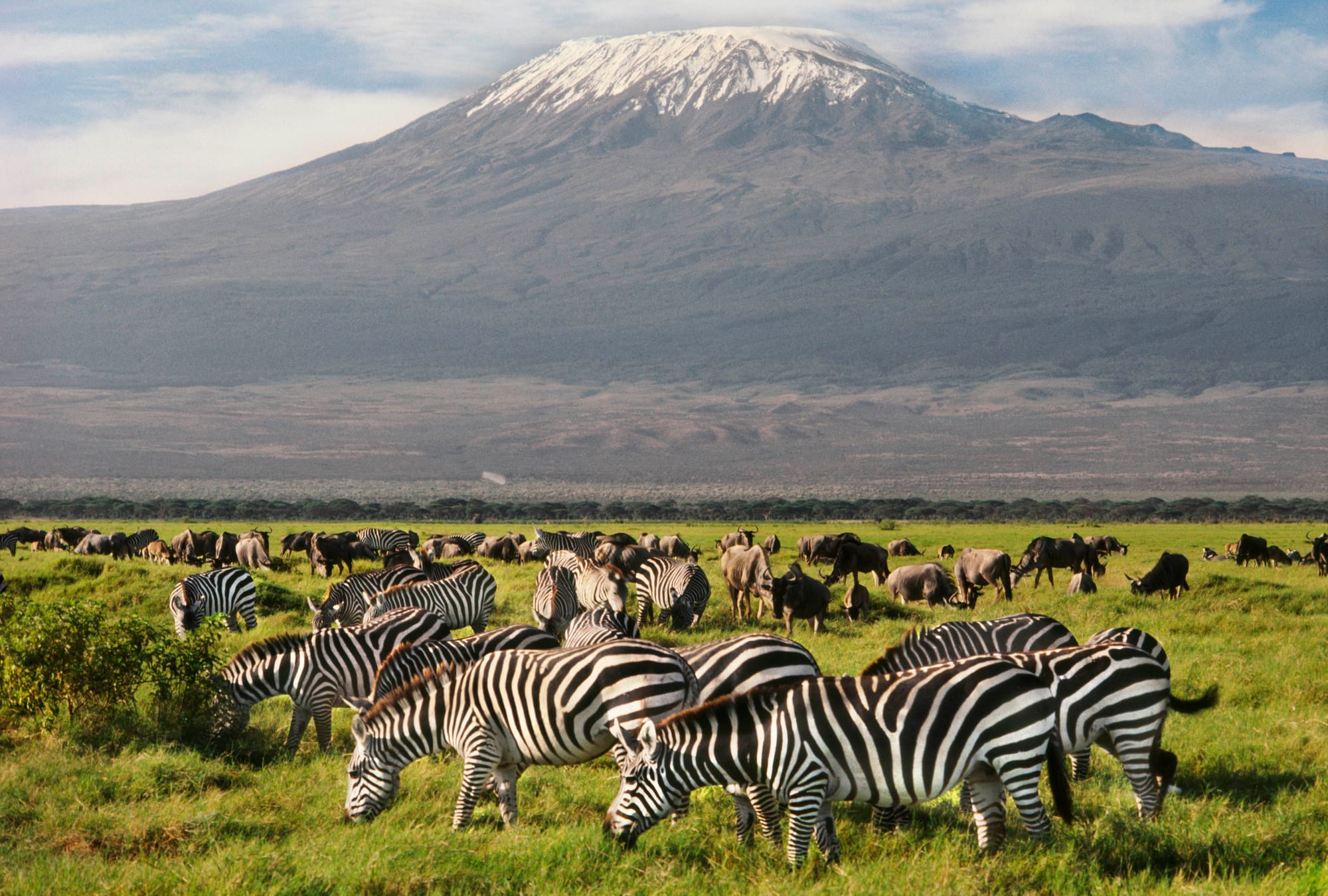 Amboseli National Park