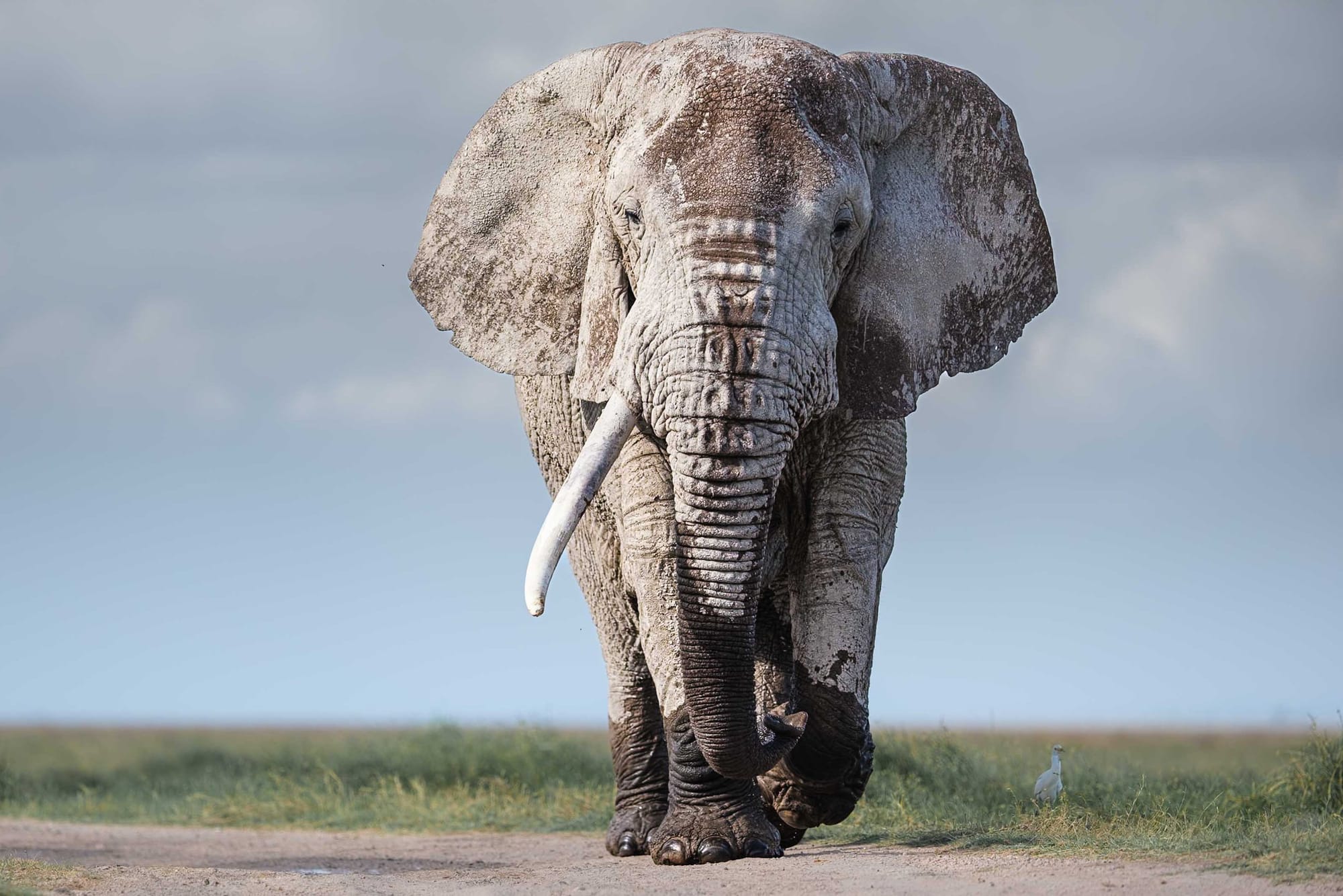 Amboseli National Park