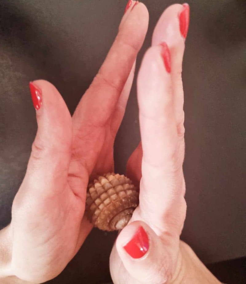 Massage Réflexologique palmaire en bien-être