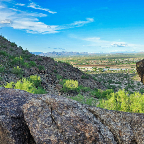 Desert Days and Cool Nights: Exploring Peoria, AZ 85345