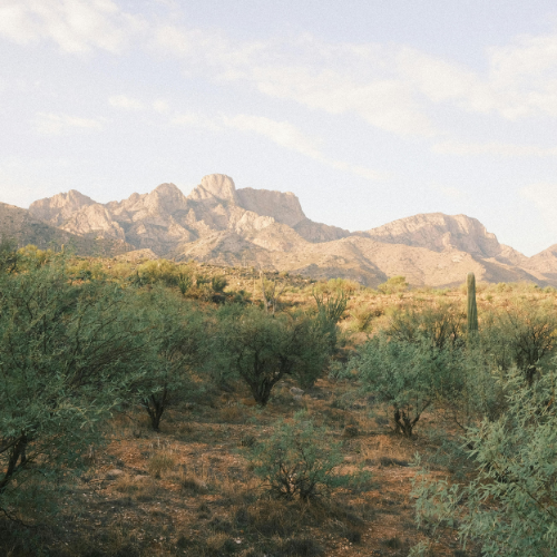 Desert Waterways and Lakes near Peoria, AZ 85345
