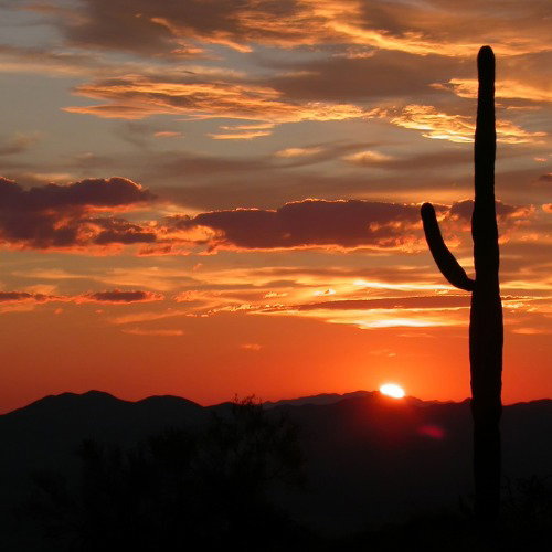 Notable Places to Explore around Peoria, AZ 85345