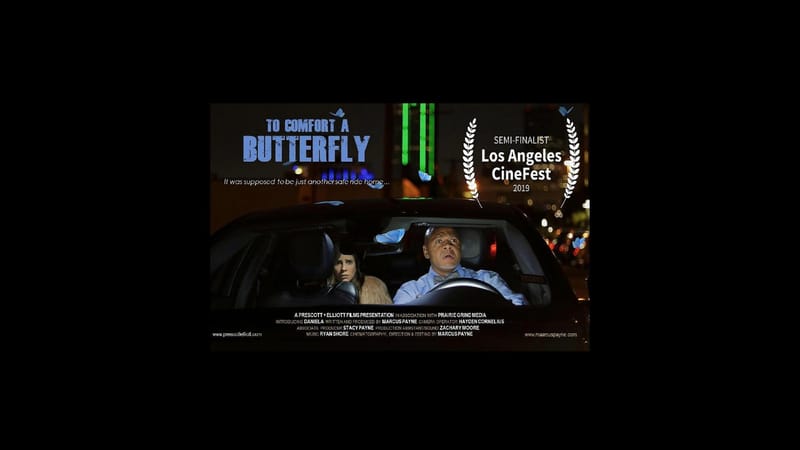 To Comfort A Butterfly (2021)