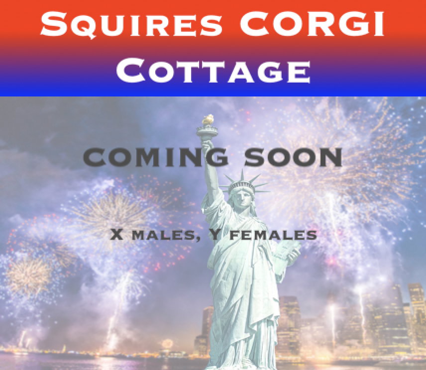 JUNE 2026
