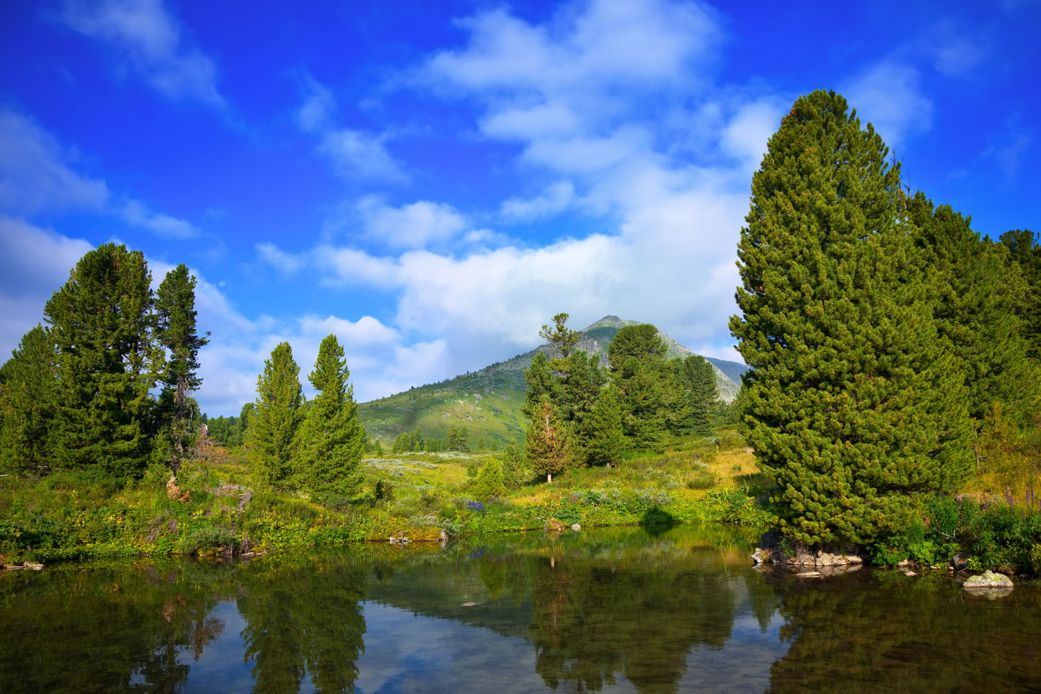 Patnitop in summer