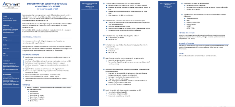 Renouvellement de mandat CSE - 3 jours