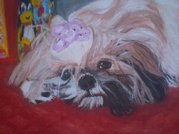 Pets paintings