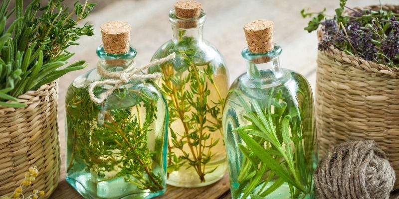 Herbal Treatments for Health