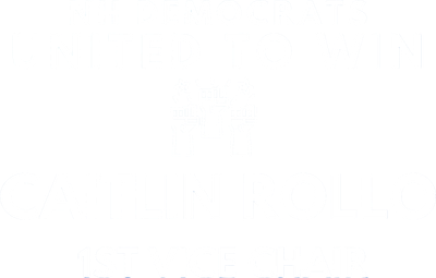 Caitlin Rollo for 1st Vice Chair