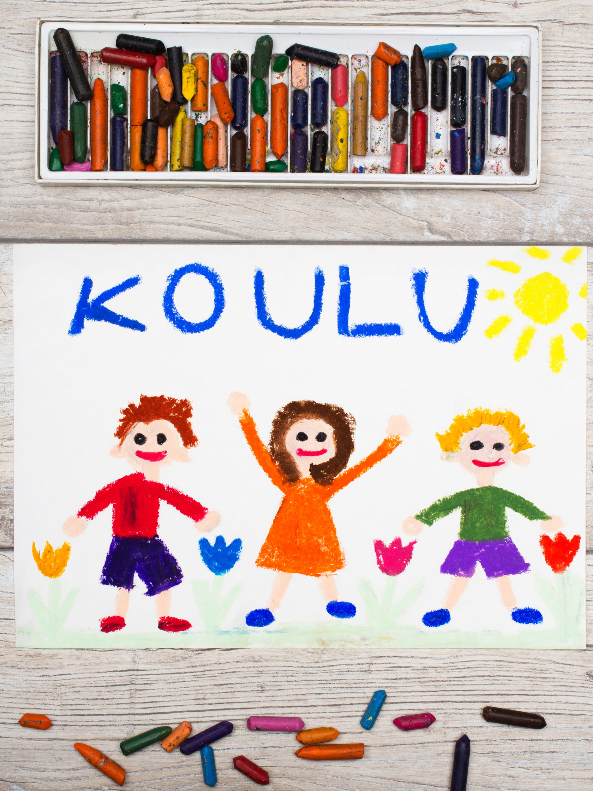 CURS STRUCTURAT ÎN FINLANDA