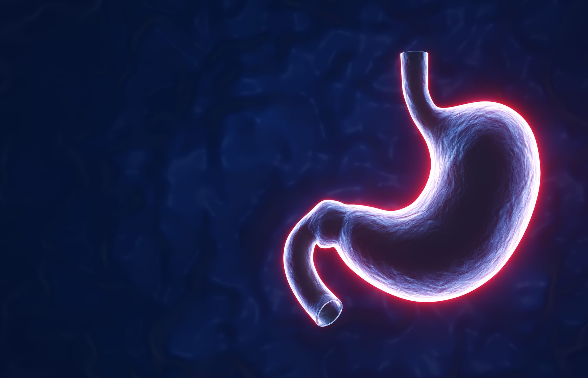 ✨Glow From the Gut: Daily Micro-Habits for a Body That Runs Smooth as Silk