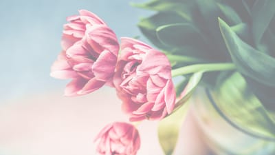 Embracing Strength, Grace, and Authenticity