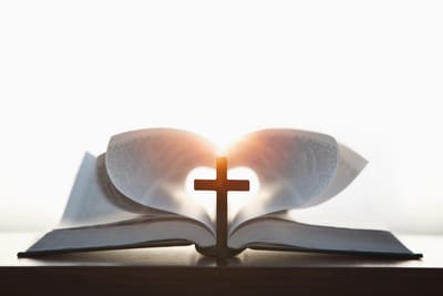 ✨Rooted & Rising: How to Build a Life God Can Elevate