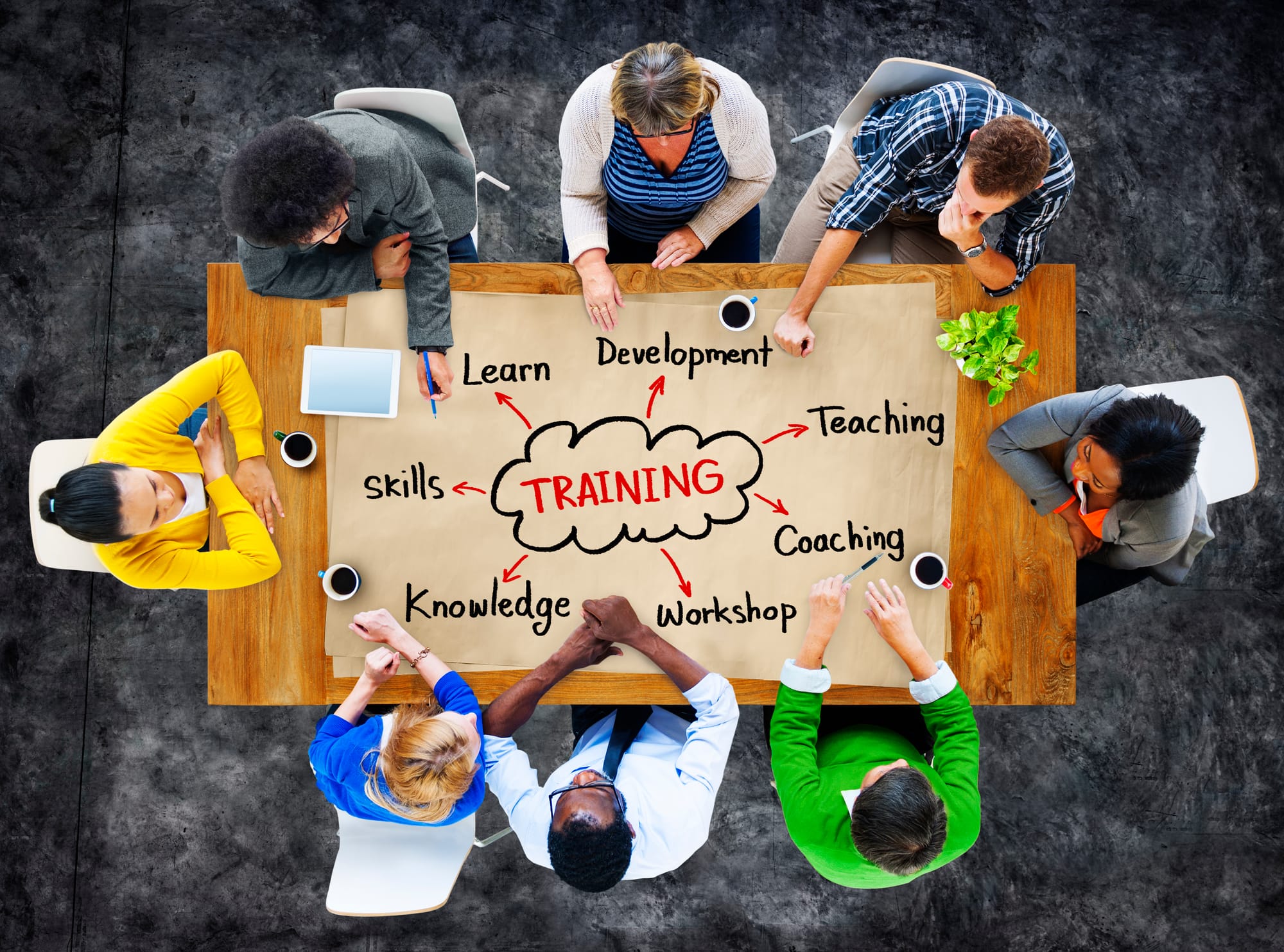 4. Promoting Diversity & Inclusion: