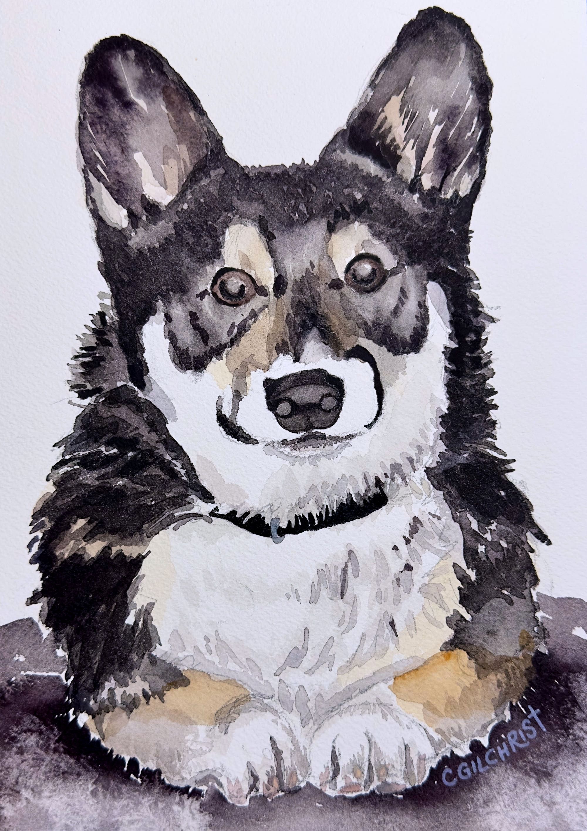 Corgi