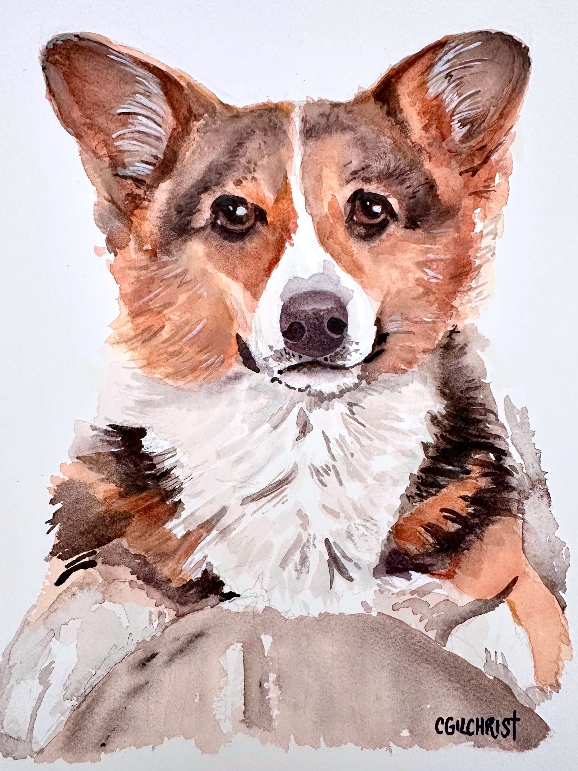 Corgi